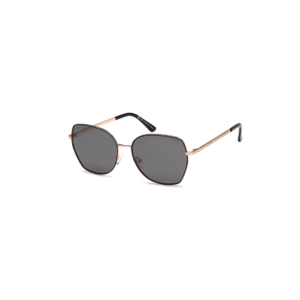 Saulės akiniai Polar Vision PV 10074 A